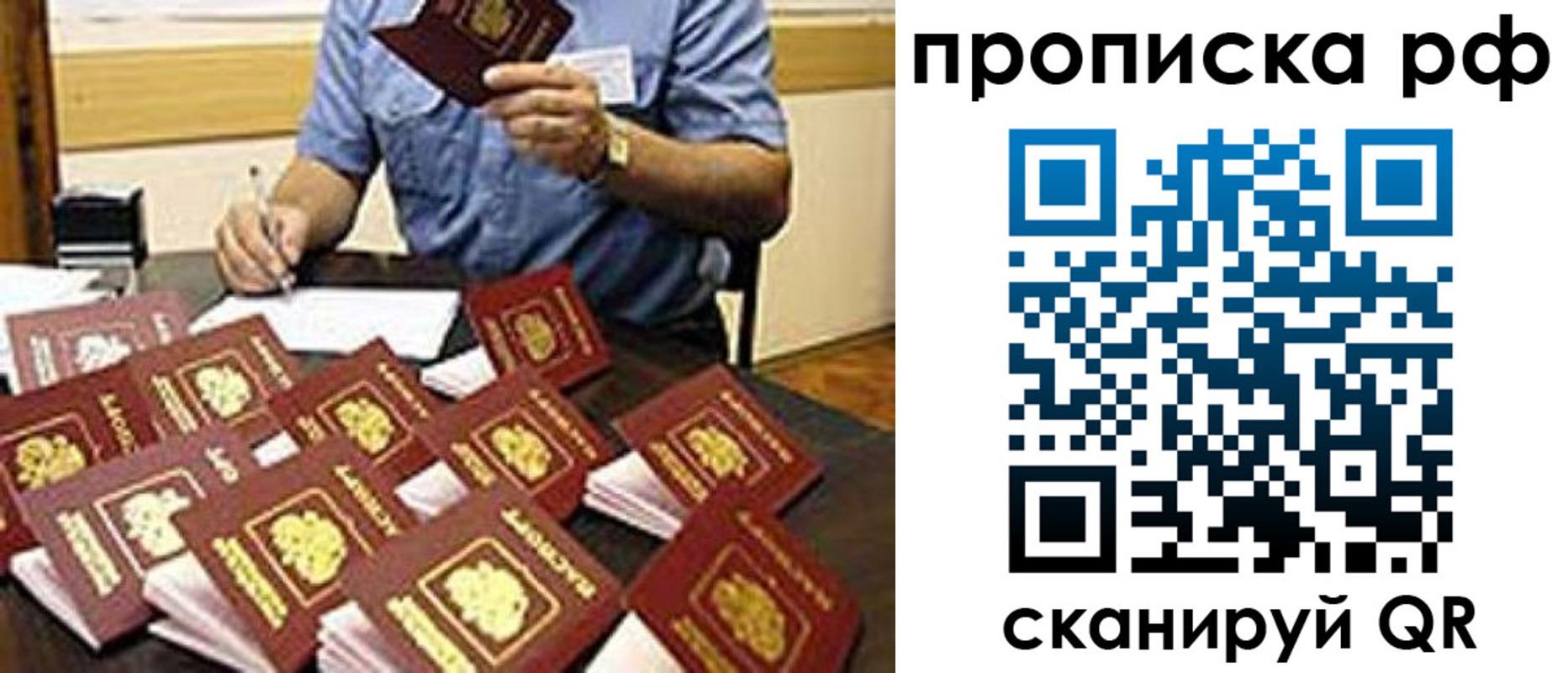 прописка поиск в Болотном